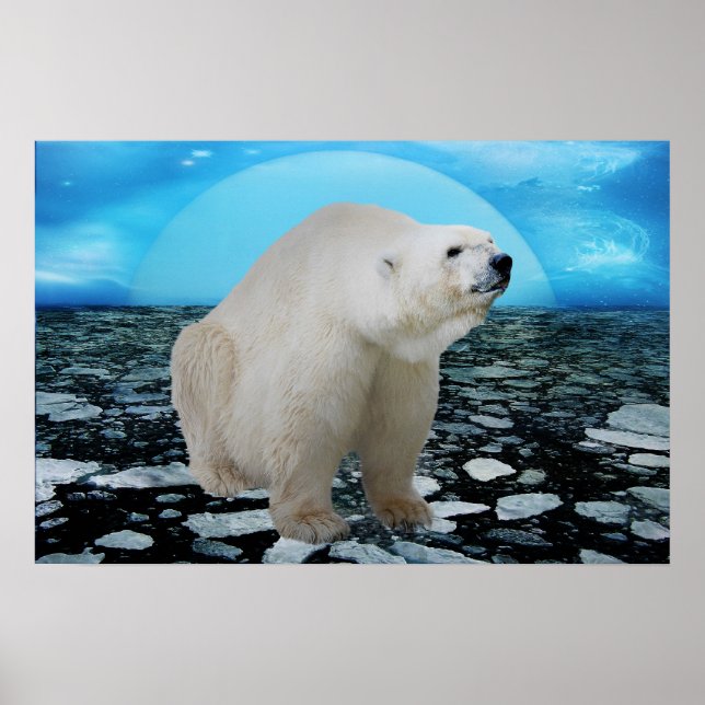 Zeit der Eisbären Poster (Vorne)
