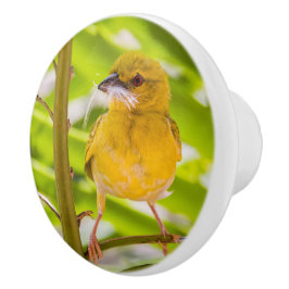 Zeit für den Bau des Nests Keramikknauf