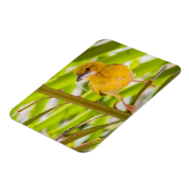 Zeit für den Bau des Nests Magnet (Linke Seite)