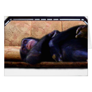 Zeit für eine Pause_