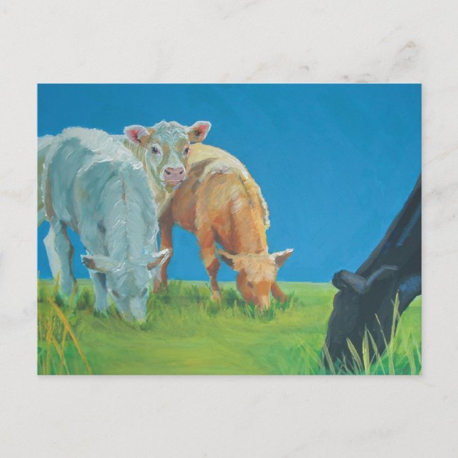 Zeit für einen Imbiss Postkarte (Vorderseite)