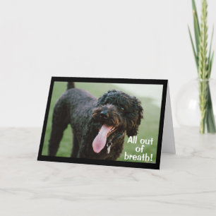 **ZEIT, IHREN 30. GEBURTSTAG ZU FEIERN** KARTE