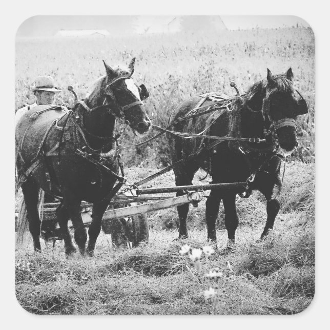 Zeit in Schwarz und Weiß Quadratischer Aufkleber (Vorderseite)