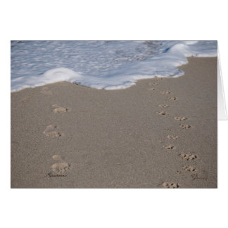 Zeit kann nicht gerettet werden. Umsichtig ausgebe