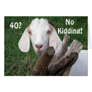 ZEIT-=KEINE KIDDIERUNG "40."