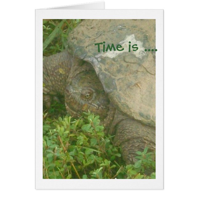 Zeit-Schildkröte (Vorne)