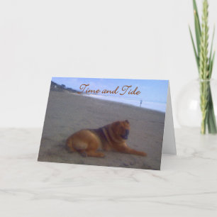 Zeit u. Gezeiten Karte