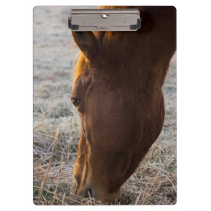 Zeit zum Essen Klemmbrett