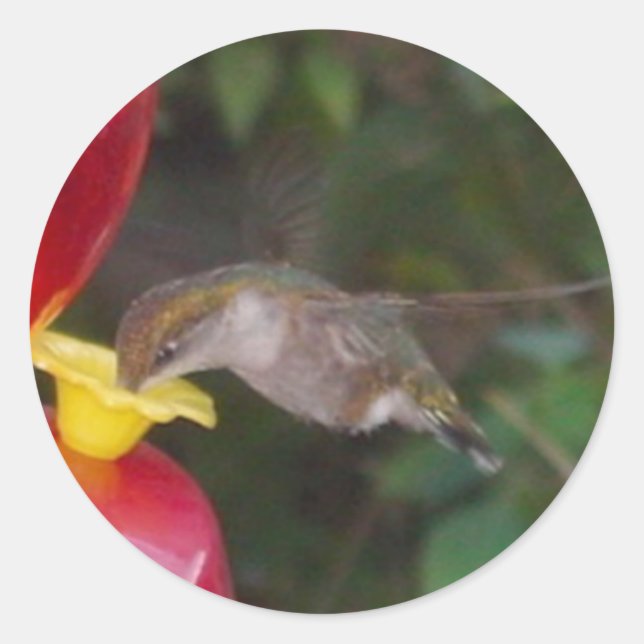 Zeit zum Essen Runder Aufkleber (Vorderseite)