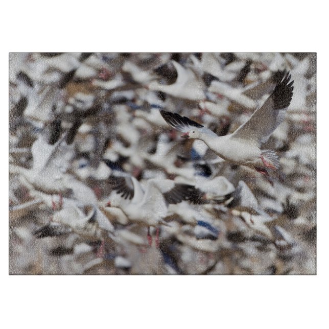 Zeit zum Explodieren Schneidebrett (Vorderseite)