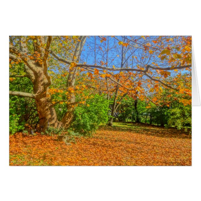 Zeit zum Rake! (Vorderseite (Horizontal))