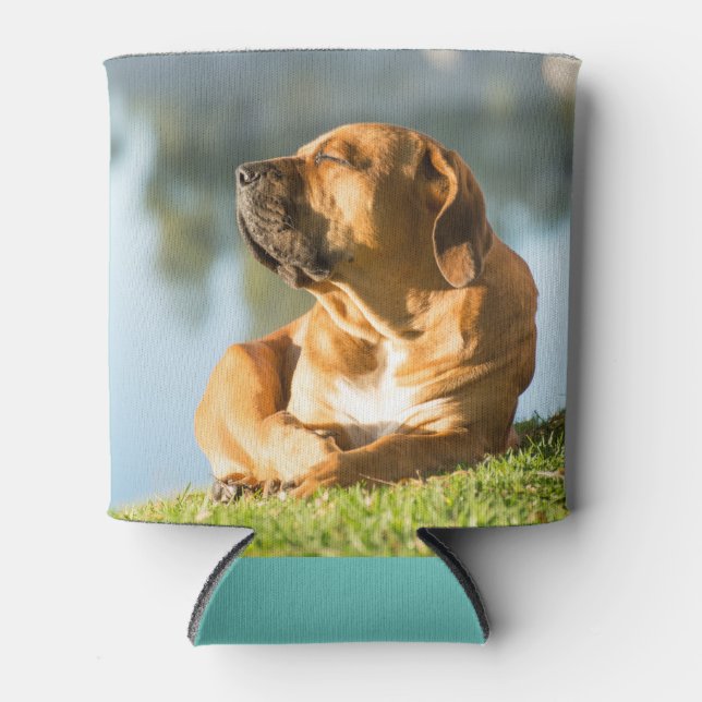 Zeit zum Schütteln! Dosenkühler (Vorderseite)