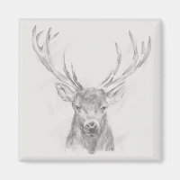 Zeitgenössische Elk Sketch