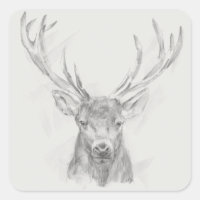 Zeitgenössische Elk Sketch