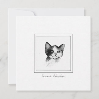 Zeitgenössische Katzen-Skizze eines häuslichen Kur Mitteilungskarte