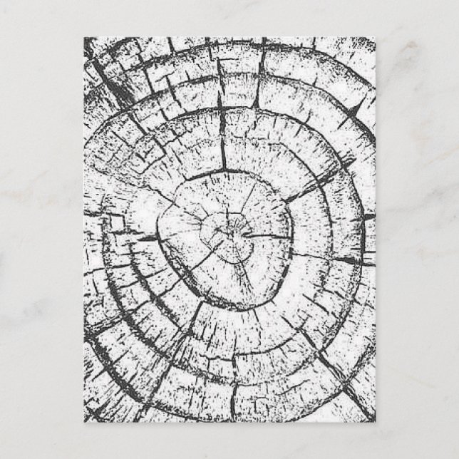 Zeitgenössische Kollektion mit schwarzem und weiße Postkarte (Vorderseite)