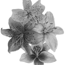 zeitgenössische Kunst in Schwarz und Weiß