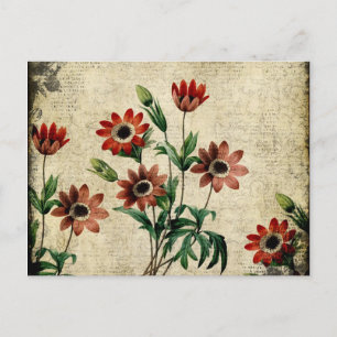 Zeitlose Anemone Postkarte