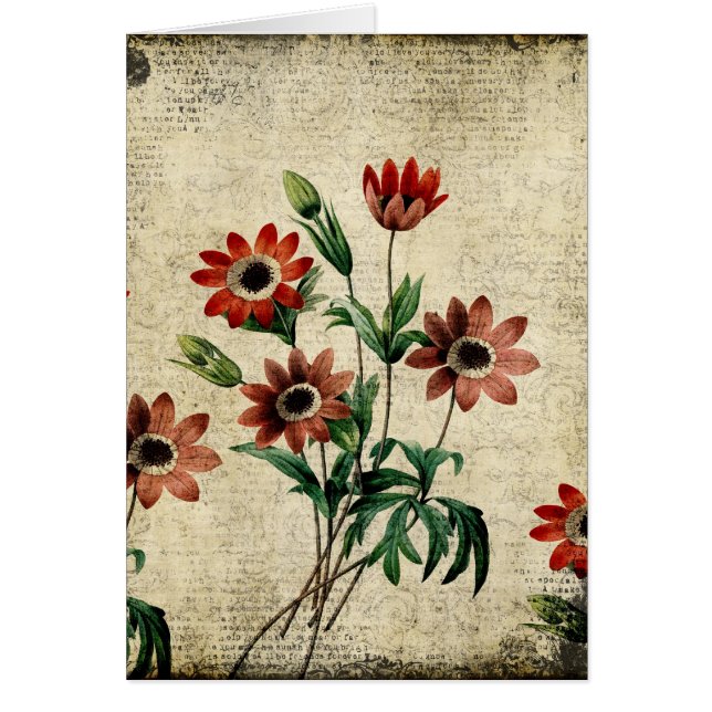Zeitlose Anemonen (Vorne)