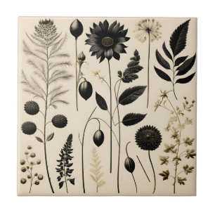 Zeitlose Blumen Botanik Fliese