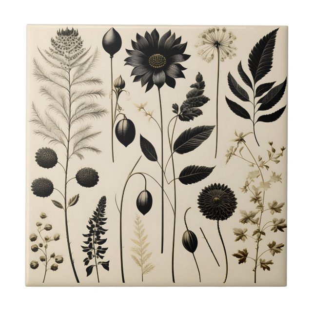 Zeitlose Blumen Botanik Fliese (Vorderseite)