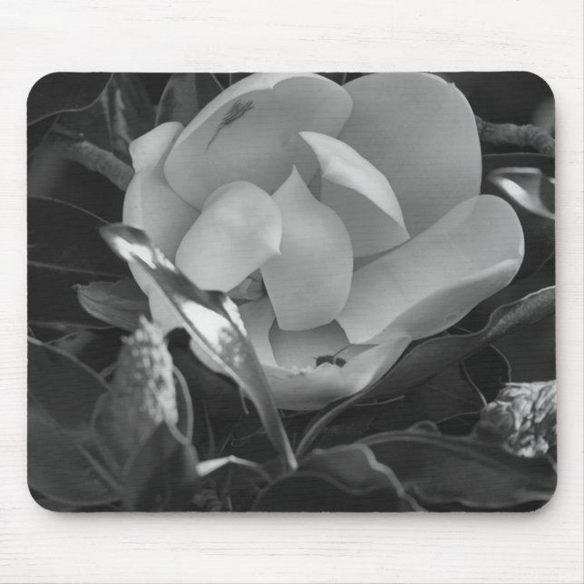 Zeitlose Magnolie Mousepad (Vorne)