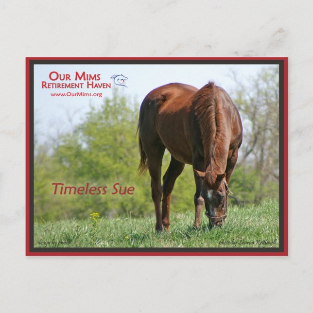 Zeitlose Postkarte (Vorderseite)