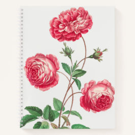 Zeitlose Rose Vintage Art Schönheit Notizbuch