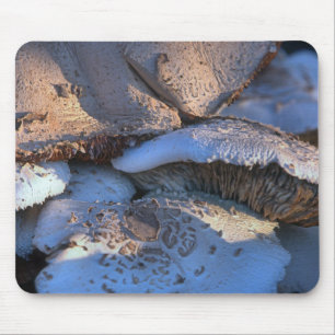 Zeitloser Magnolia Mousepad