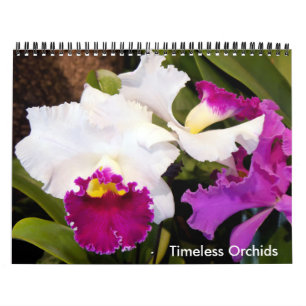 Zeitloser Orchideenkalender Kalender