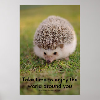 Zeitplakat Poster