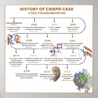 Zeitplan der CRISPR-Geschichte