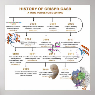 Zeitplan der CRISPR-Geschichte Poster