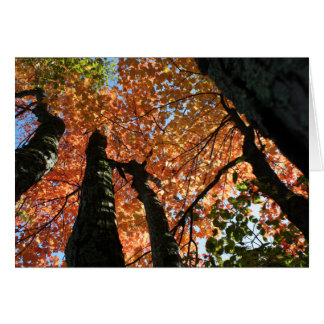 Zeitpunkt des Herbstes Zen