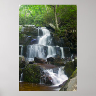 Zeitspanne-Wasserfall-Wald Poster