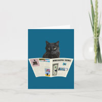 Zeitung Breaking News Schwarze Katze Au Journal _1