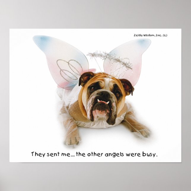 Zelda Angel Poster (Vorne)