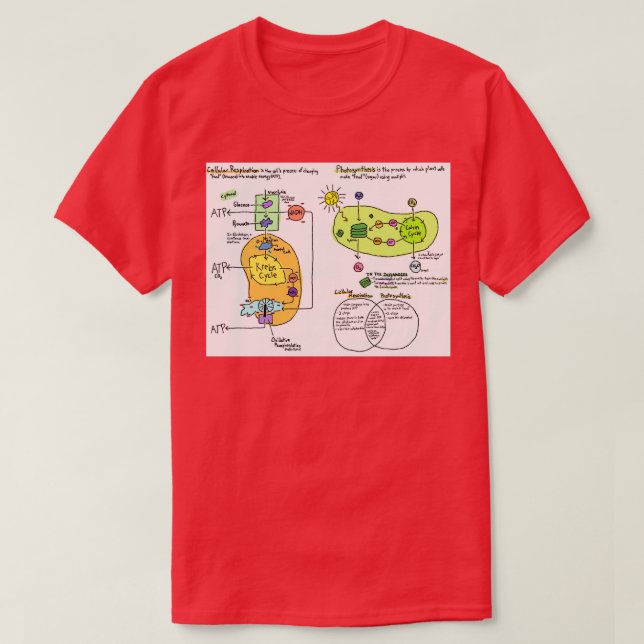 Zellatmung und Fotosynthese T-Shirt (Design vorne)