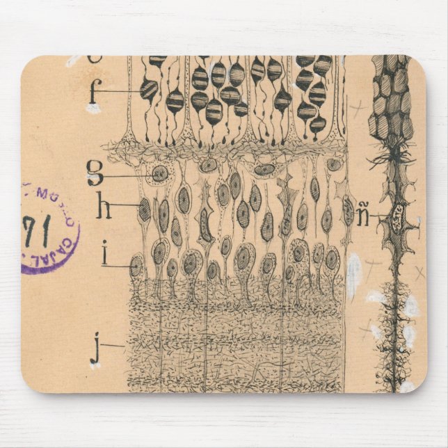 Zelle Zeichnend Auge Retina Santiago Ramon Y Cajal Mousepad (Vorne)