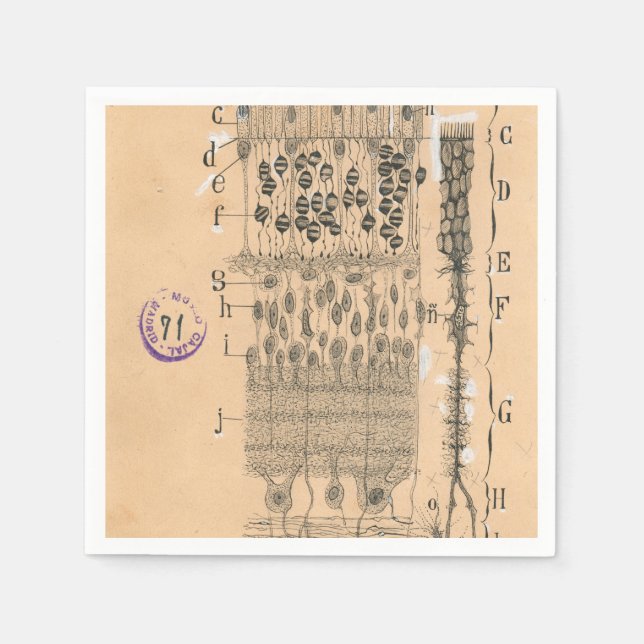 Zelle Zeichnend Auge Retina Santiago Ramon Y Cajal Serviette (Vorderseite)