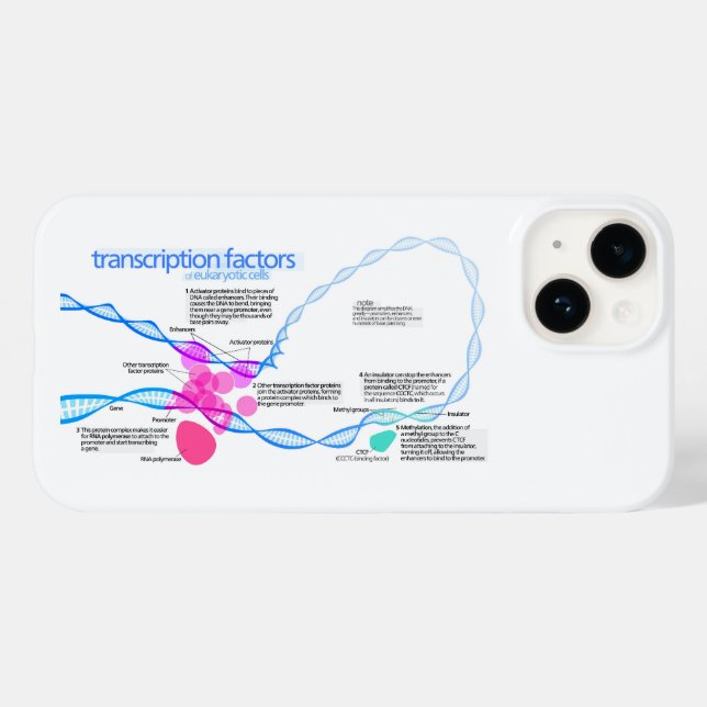 Zellen Gene-Transkriptionsfaktor-Diagramm Case-Mate iPhone Hülle (Rückseite (Horizontal))