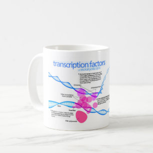 Zellen Gene-Transkriptionsfaktor-Diagramm Kaffeetasse