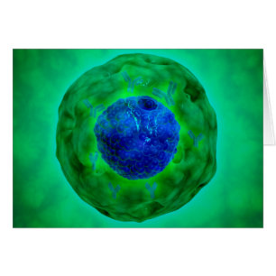 Zellen-Kern mit Chromosom 1