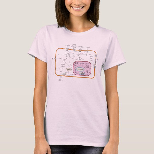 Zellen-Signaltransductions-Bahn-Diagramm T-Shirt (Vorderseite)