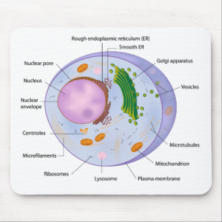 Zellenstruktur mousepad