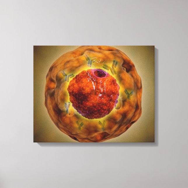 Zellkerne mit Chromosom 3 Leinwanddruck (Vorderseite)