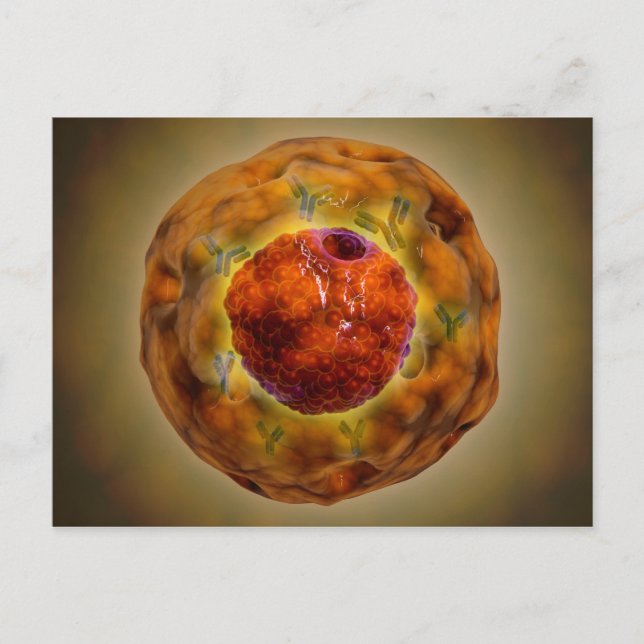 Zellkerne mit Chromosom 3 Postkarte (Vorderseite)