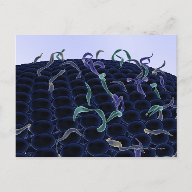 Zellmembran Postkarte (Vorderseite)