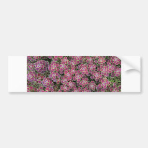 zellular autoaufkleber