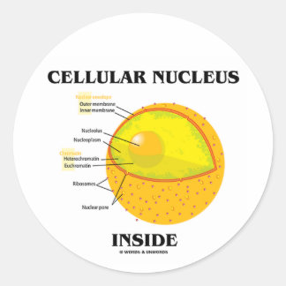 Zelluläre Kerne Inside (Zellbiologie) Runder Aufkleber
